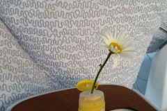 Romantik - eine Margerite in praktischer Sonnenmilch-Blumenvase