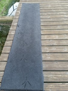 Flugdrachenspuren