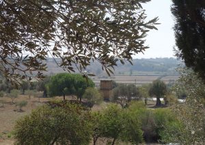Blick auf den Pferdefriedhof