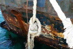 Rost