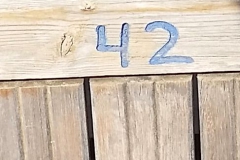 ... die Antwort auf die Frage nach dem Leben, dem Universum und dem ganzen Rest
