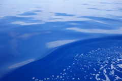 Flaute-1