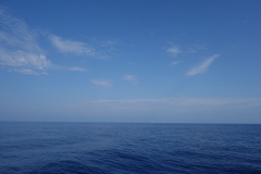 Auch in die andere Richtung - kein Schiff